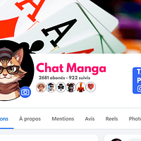 2 Avatar Standard "Chat Manga" – Fichier PNG prêt à l’emploi