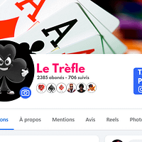 2 Avatar Standard « Trèfle » – Fichier PNG prêt à l’emploi