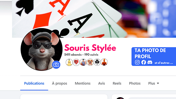 2 Avatar Standard "Souris Stylée" – Fichier PNG prêt à l’emploi